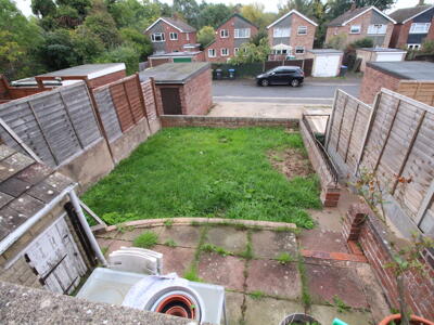 Picture 8